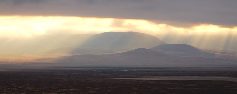 26H02547_ExNR