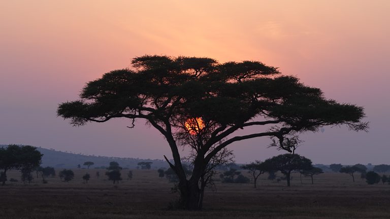 26H08986_ExNR