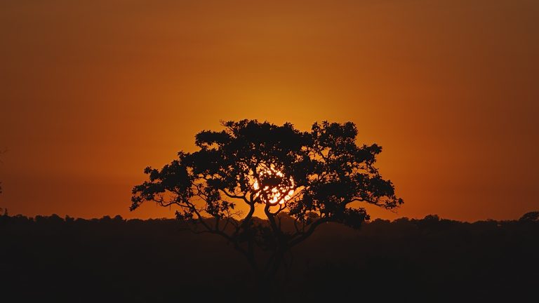 26H00788